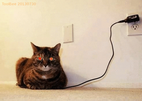 cat charger GIF