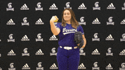 Wsuwarriors GIF by WinonaStateATH