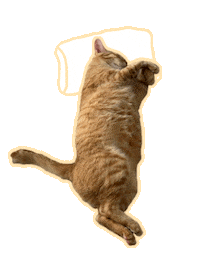 Tired Cat Sticker