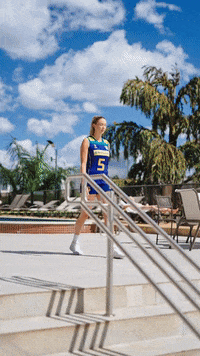 Sport Hello GIF by Volleyball World