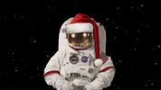 Christmas Holiday GIF by NASA