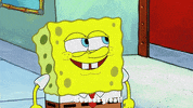 season 9 GIF by SpongeBob SquarePants