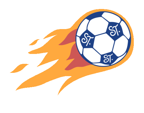 Santa Teresa Soccer Sticker by Saint Theresa Bilingual School