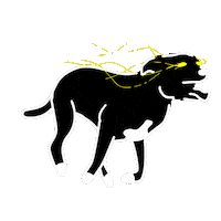 excited dog Sticker