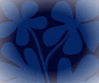 GIF by Blufox Mobile