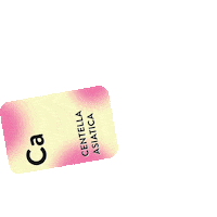 Skincare Beauty Care Sticker by Sociolla
