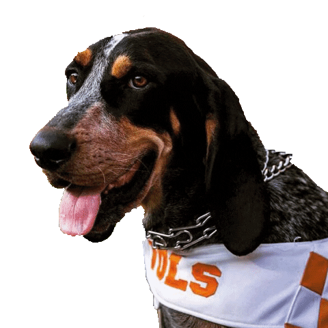 Vols Smokey Sticker by UT Knoxville