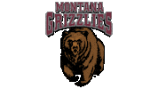 Logo Bear Sticker by Montana Grizzlies
