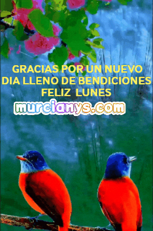 Nuevo Dia Gracias GIF by Murcianys LLC