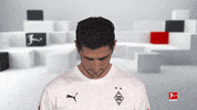 Happy Line Up GIF by Bundesliga