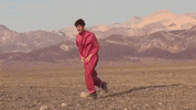 Dance Pink GIF by Sam Gendel