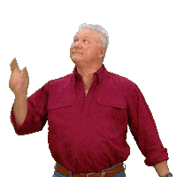 Renovate Channel 9 Sticker by The Block