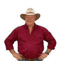 Renovate Channel 9 Sticker by The Block