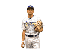 College Sports Baseball Sticker by Delaware Blue Hens