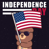 United States Celebration GIF by BEARISH