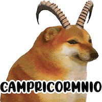 Cheemsvidente Sticker by Revicheems