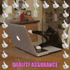 quality assurance qa GIF by chuber channel