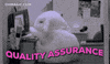 quality assurance qa GIF by chuber channel