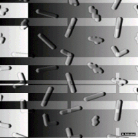 art code GIF by Michel Poisson