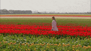 episode 7 hannah brown GIF by The Bachelorette