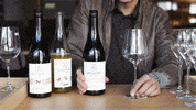Vino Sudtirol GIF by Pur Südtirol