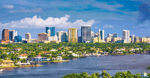 normanbadger giphygifmaker giphyattribution GIF