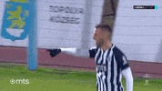 Partizan GIF by sportmts