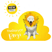 New Post Sun Sticker