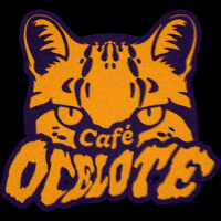 cafeocelote cafe ocelote cafe ocelote caféocelote GIF