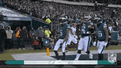 Philadelphia Eagles Football GIF by NFL