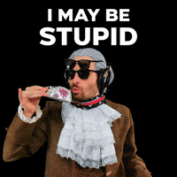 Im An Idiot GIF