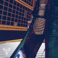 Destiny 2 Trials GIF by DestinyTheGame