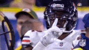 2018 Nfl Football GIF by NFL