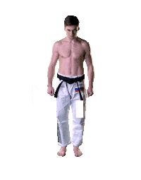 the king fight Sticker by Karate Combat