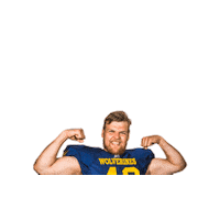 Lindqvist Sticker by Helsinki Wolverines