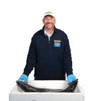 Fish Delivery Sticker by METRO AG