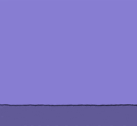 Have A Nice Day Honey GIF by Chippy the Dog