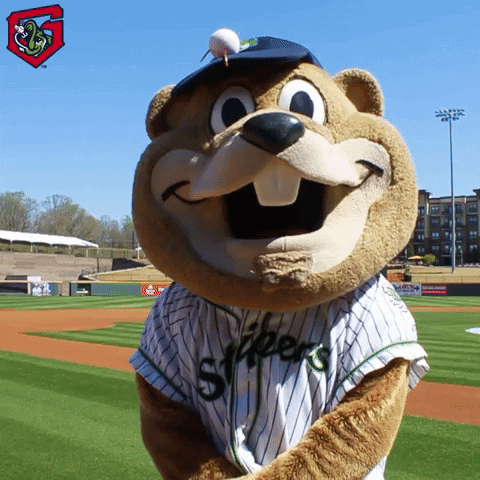chopper yes GIF by Gwinnett Stripers