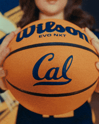 Cal GIF by CALWBB