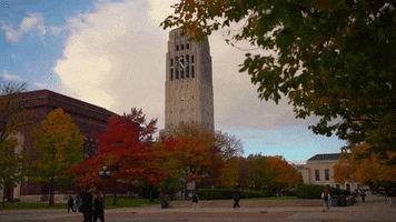 Ann Arbor Fall GIF by University of Michigan