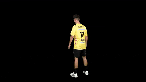 Handball GIF by HSC 2000 Coburg