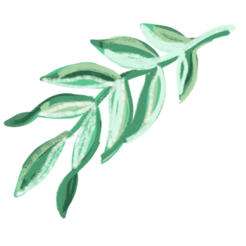 happy flowers Sticker by Ivo Adventures