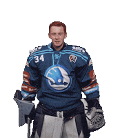 Hockey Hokej Sticker by HC Škoda Plzeň