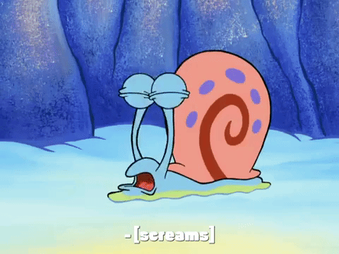 season 8 frozen face-off GIF by SpongeBob SquarePants