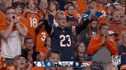 Denver Broncos Football GIF by NFL