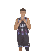 Go Liga Endesa Sticker by ACB
