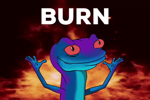 Ada Burn GIF by snek