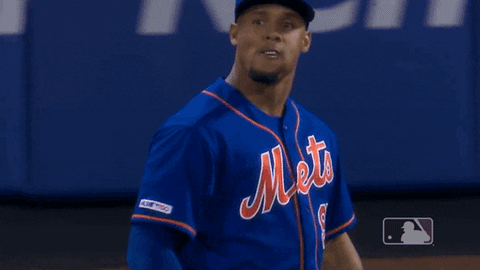 ny mets no GIF by New York Mets