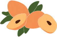 Sapodilla fruit minimal studio leaves Sticker