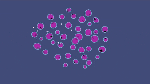 pink wiggle GIF by Massive Science